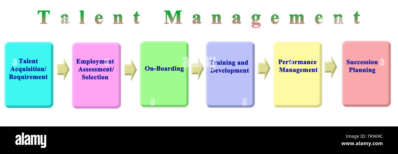 Components of Talent Management Stock Photo Alamy
