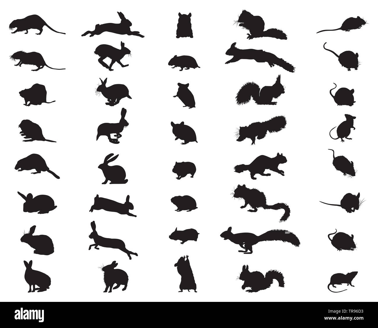 Black silhouettes of rodents on a white background Stock Photo