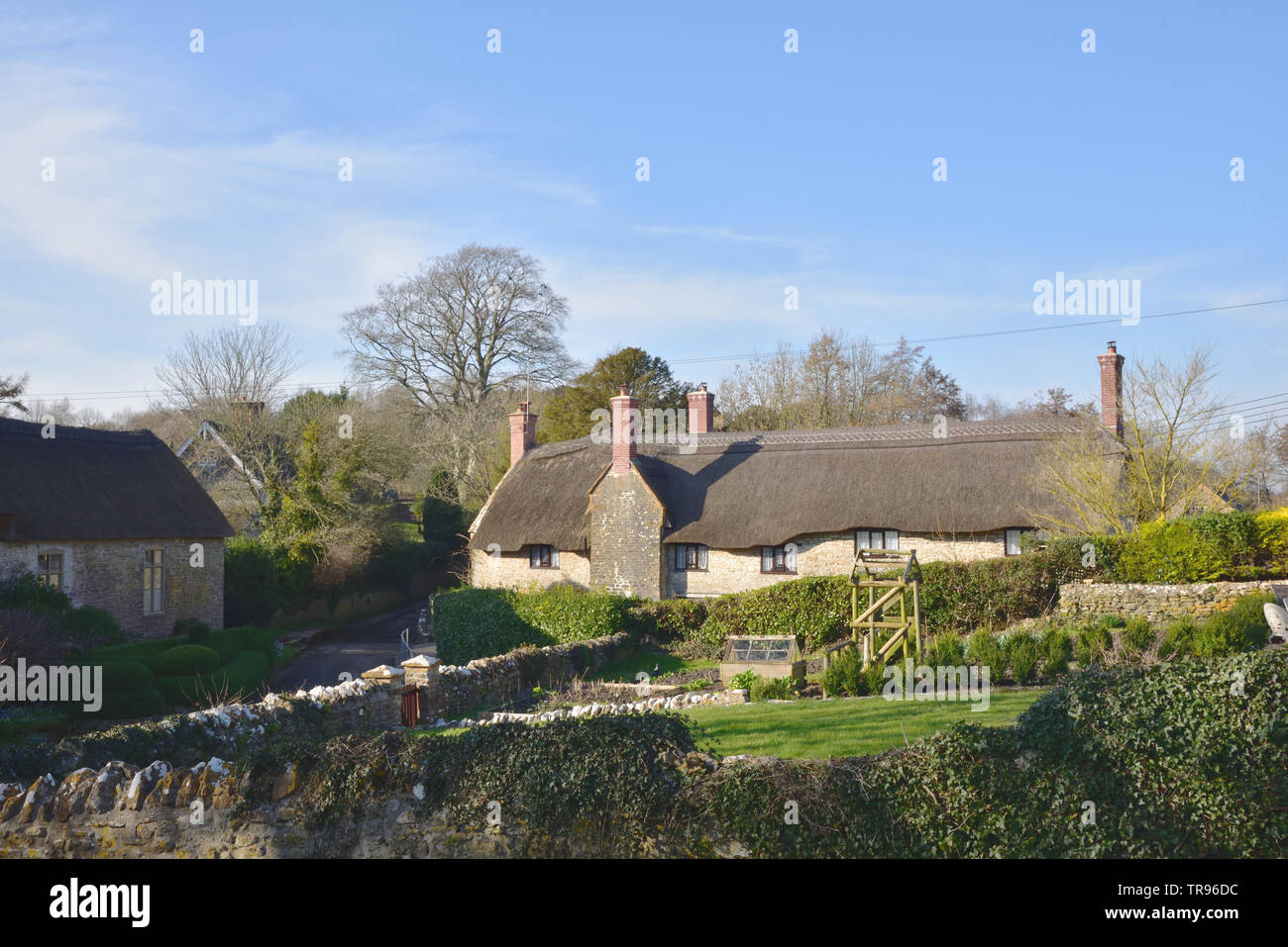 Cottages in Melbury Osmond Stock Photo Alamy