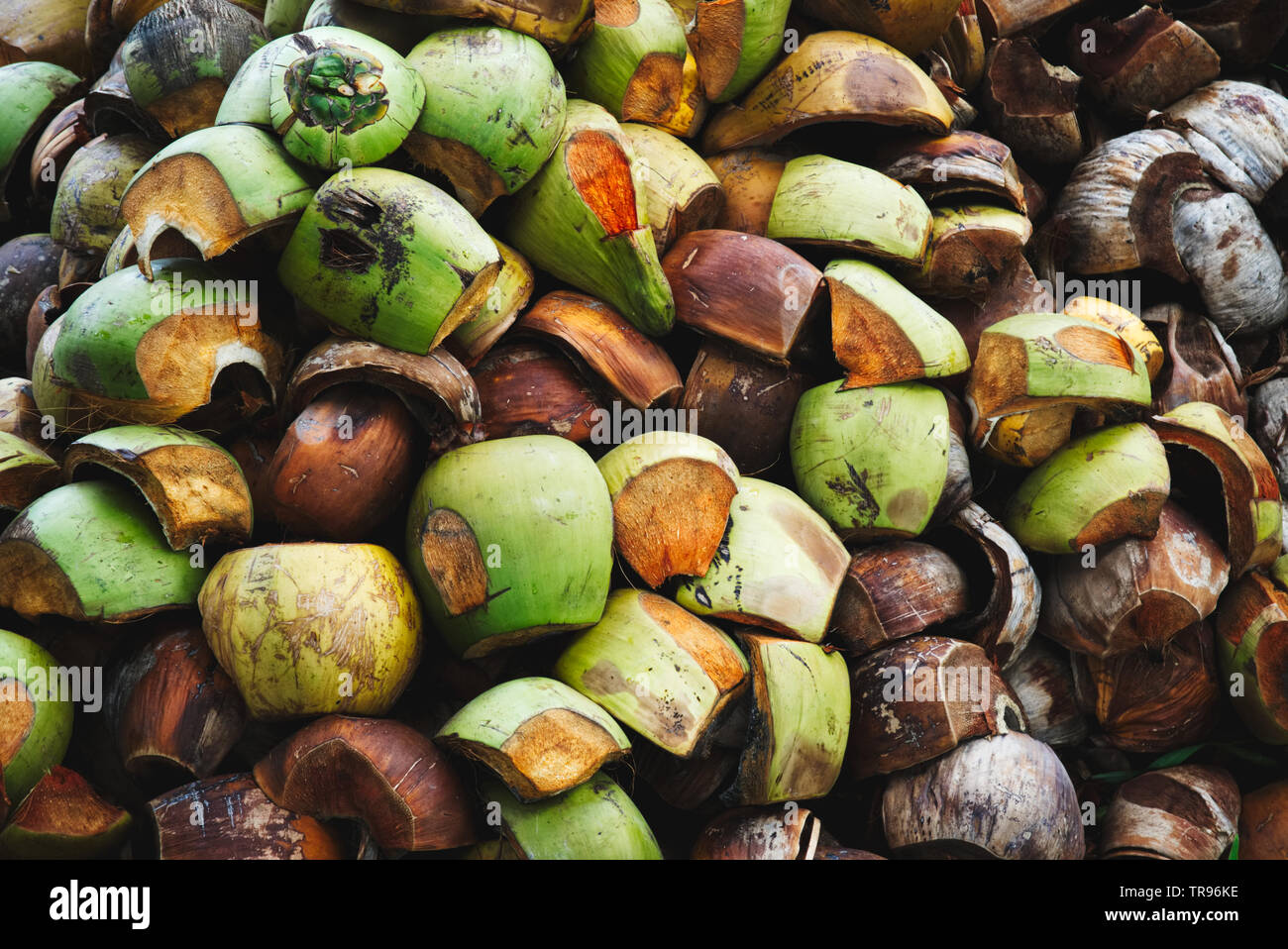 a bunch of green and brown coconut shells, textured background Stock
