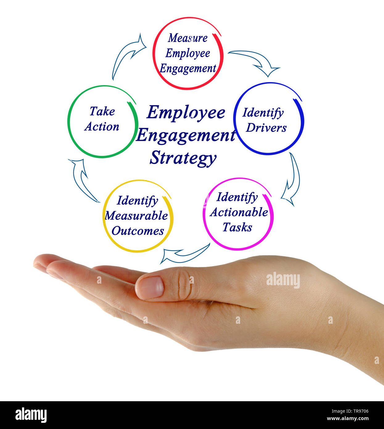 Hr strategy Cut Out Stock Images & Pictures - Alamy