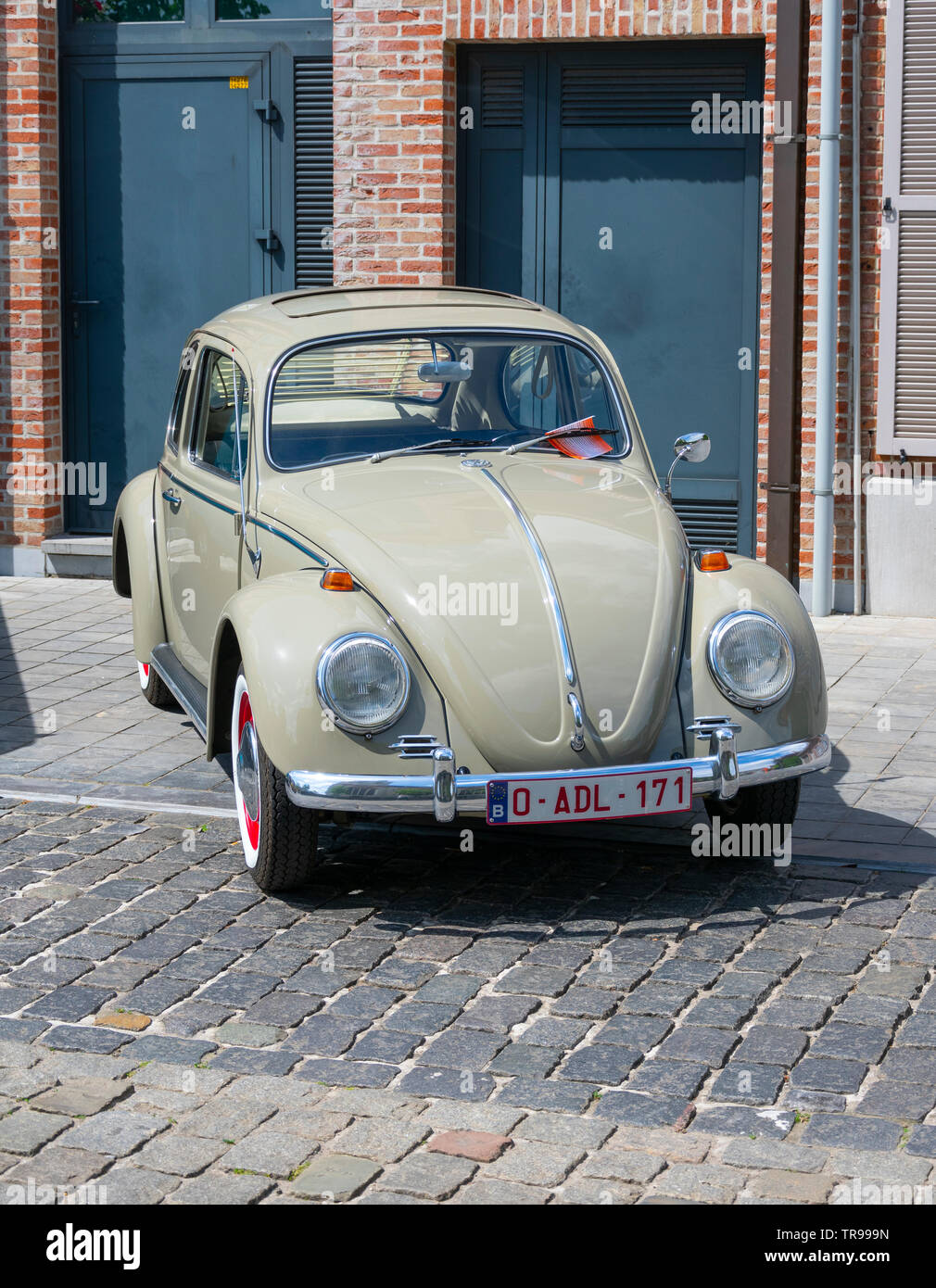 Melsele, Belgium, 30 may 2019, Volkswagen Beetle photo taken from the front and vertical on a car show Stock Photo