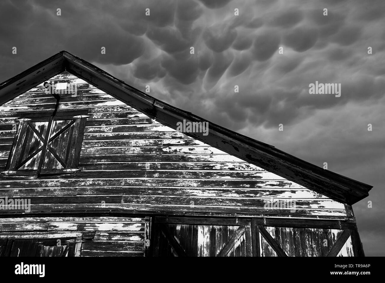 An old and weathered barn under strange mammatus storm clouds in late May outside Healdsburg and Windsor, Sonoma County, California. Stock Photo