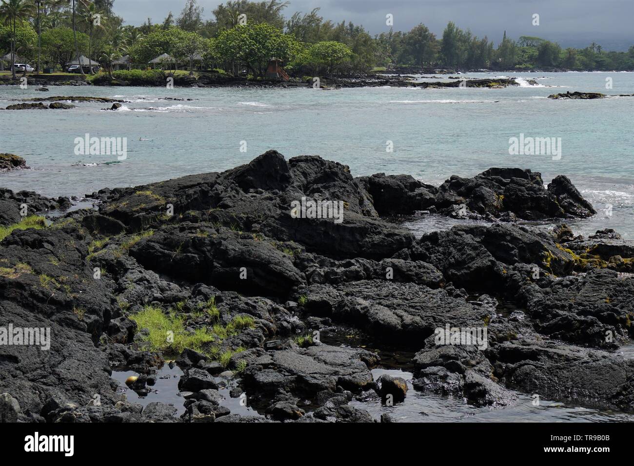 Beach scenes from beautiful Hilo Hawaii and the wide range of flora and lava rock Stock Photo