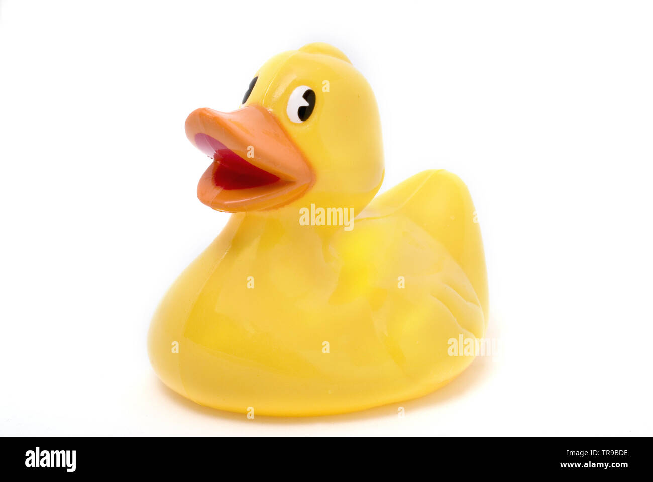 bath yellow toy duck on white background Stock Photo - Alamy