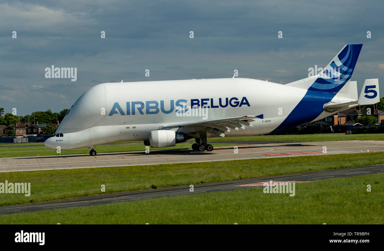 Airbus Airbus A300 600st Beluga F Gstf Postioning For Take Off At Hawarden Airport Stock Photo Alamy Airbus Airbus A300 600st Beluga F Gstf Postioning For Take Off At Hawarden Airport Stock Photo Alamy