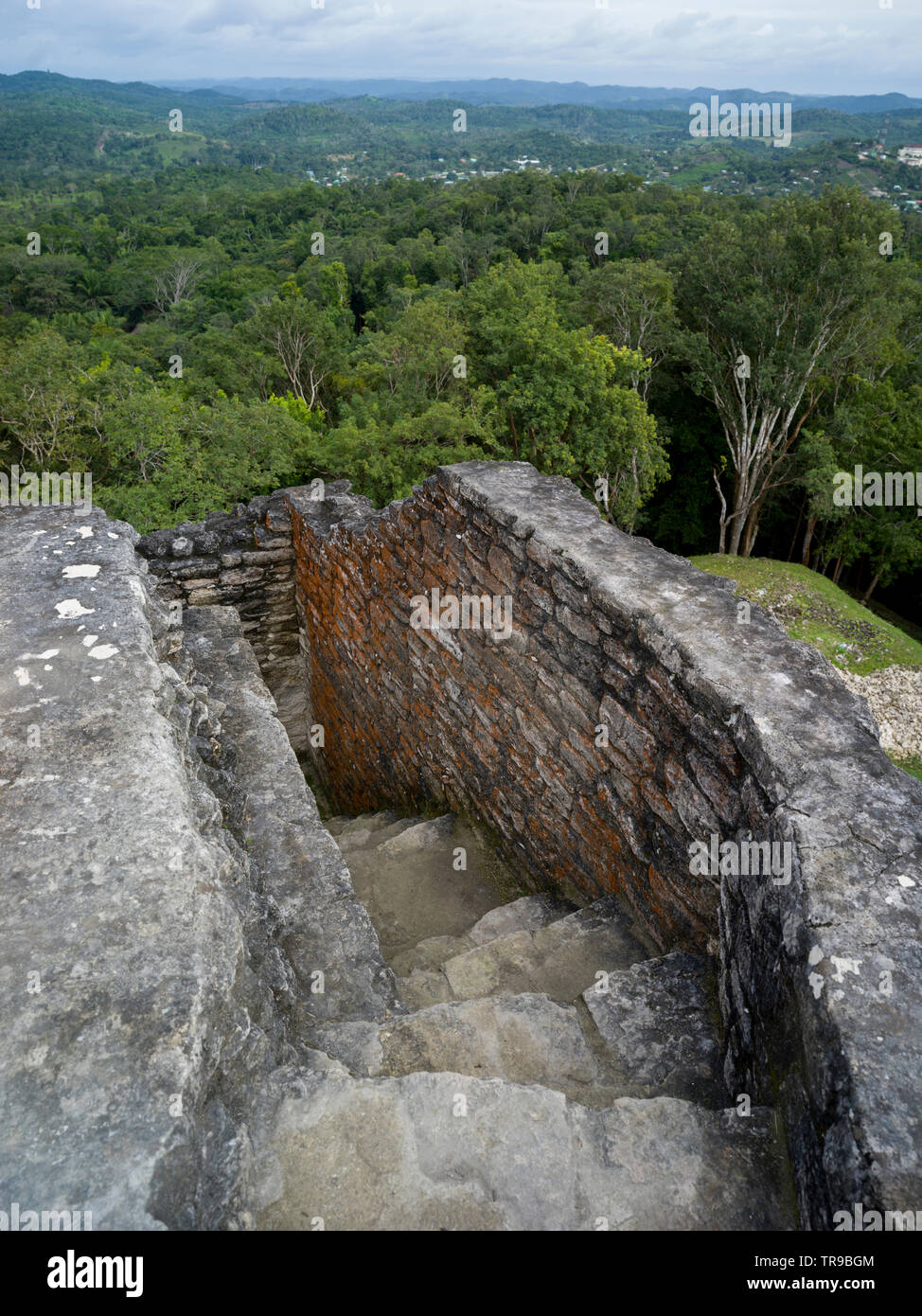 Ruins of staircase at Ancient Mayan Archaeological Site, San Jose Succotz, Cayo District, Belize