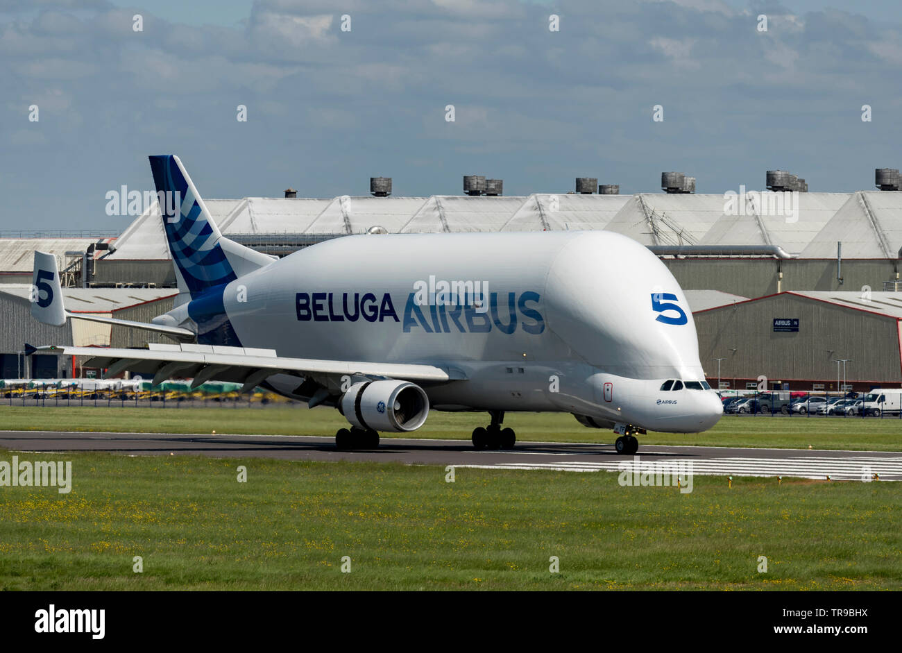 Airbus Airbus A300-600ST Beluga, F-GSTF on runway after touchdown/landing Stock Photo