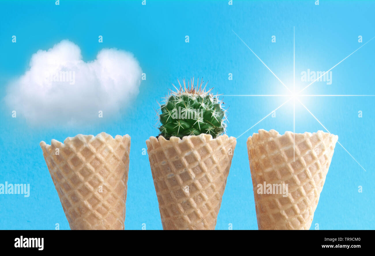 home cactus Faux Potted Cactus Plant | Artificial Greenery