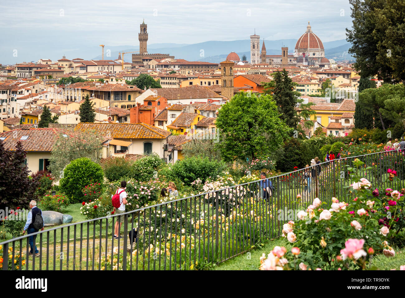 View of the city of Florence from the Giardino delle Rose -Rose Garden-  public park in Florence, Tuscany region - Italy Stock Photo - Alamy