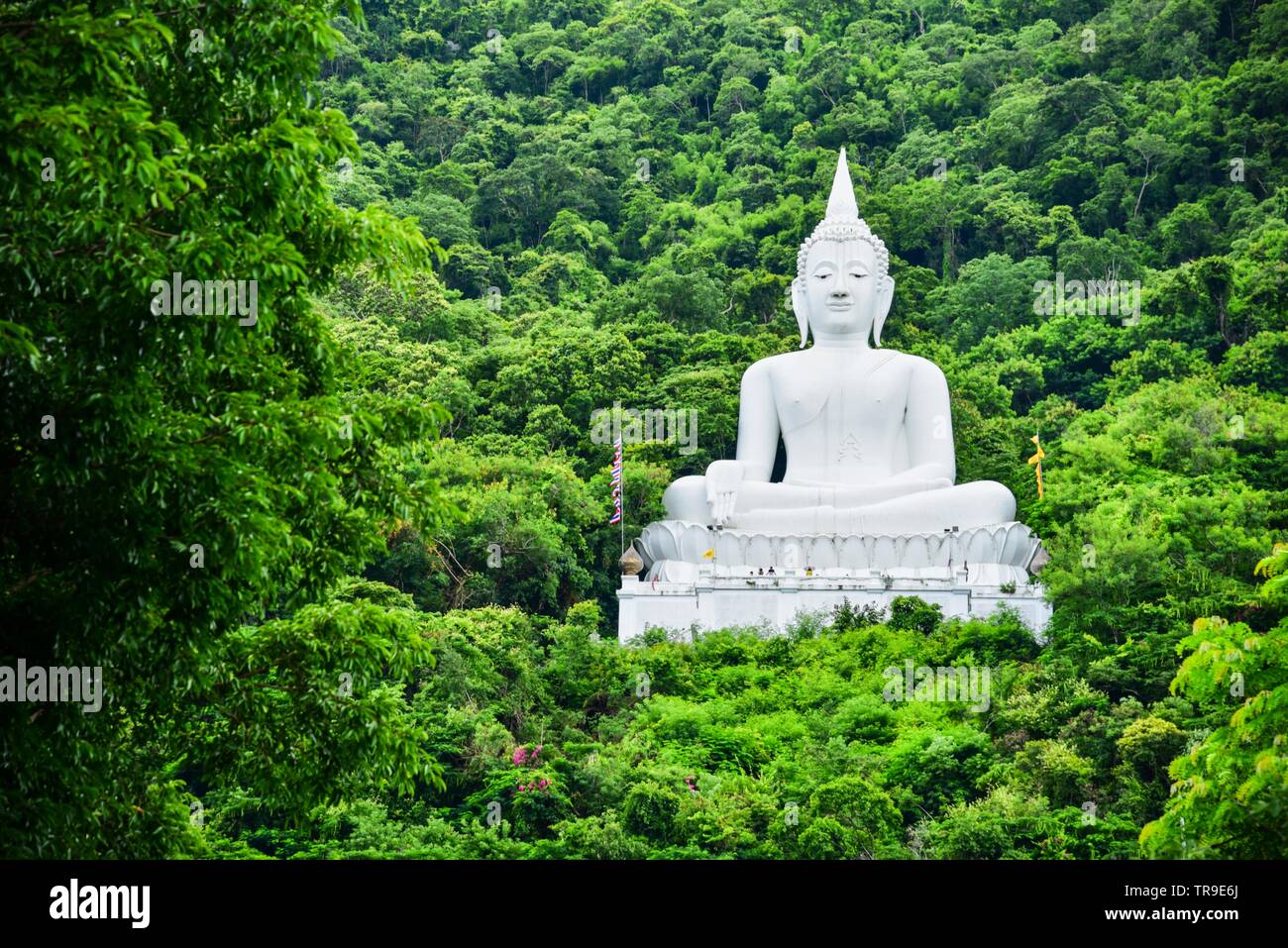 Giant White Buddha Statue at Wat Theppitak Punnaram Stock Photo Alamy