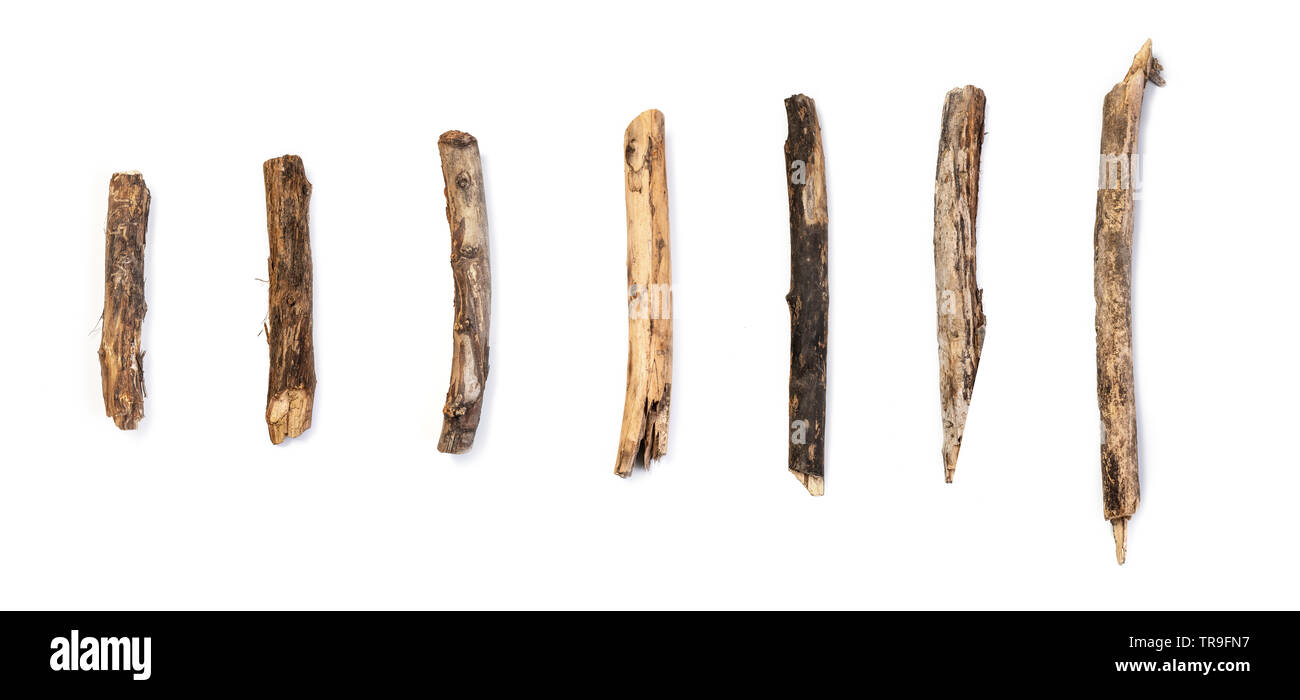 set macro dry branches birch isolated on white background Stock Photo