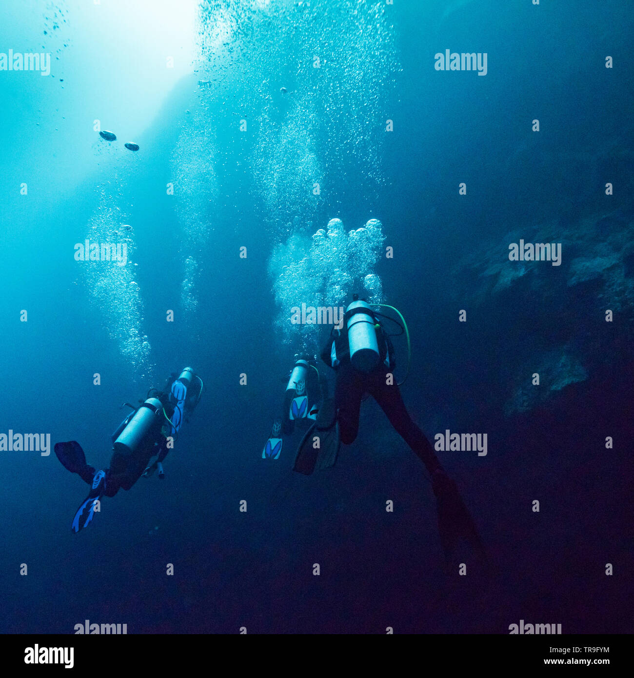 Scuba divers underwater, The Great Blue Hole, Belize Barrier Reef ...