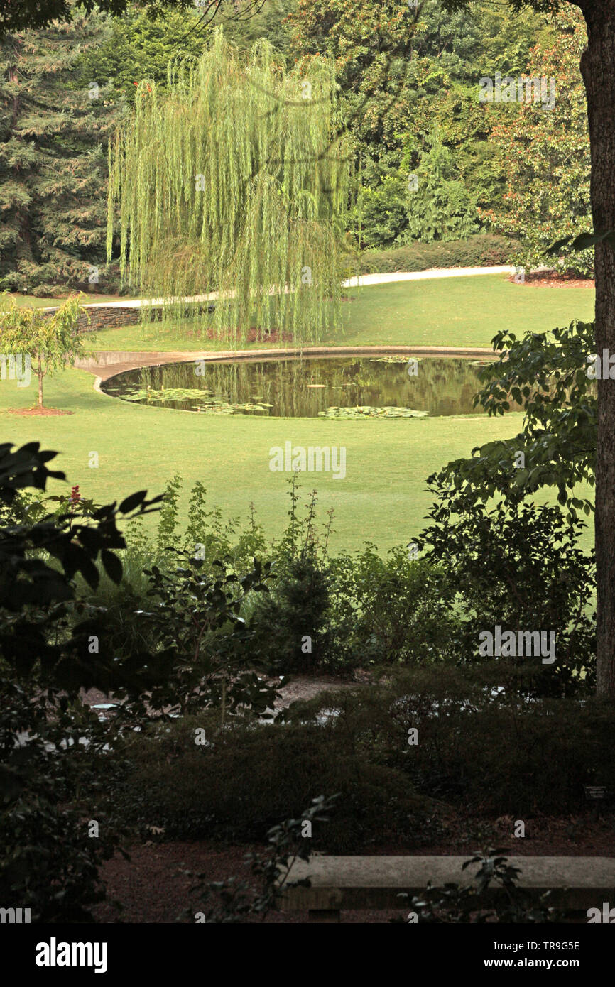 Willow tree by the pond at Sarah Duke Gardens at Duke University in