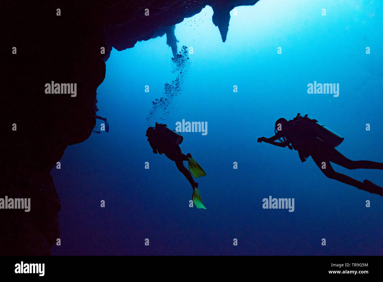 Scuba divers underwater, The Great Blue Hole, Belize Barrier Reef, Lighthouse Reef, Belize Stock