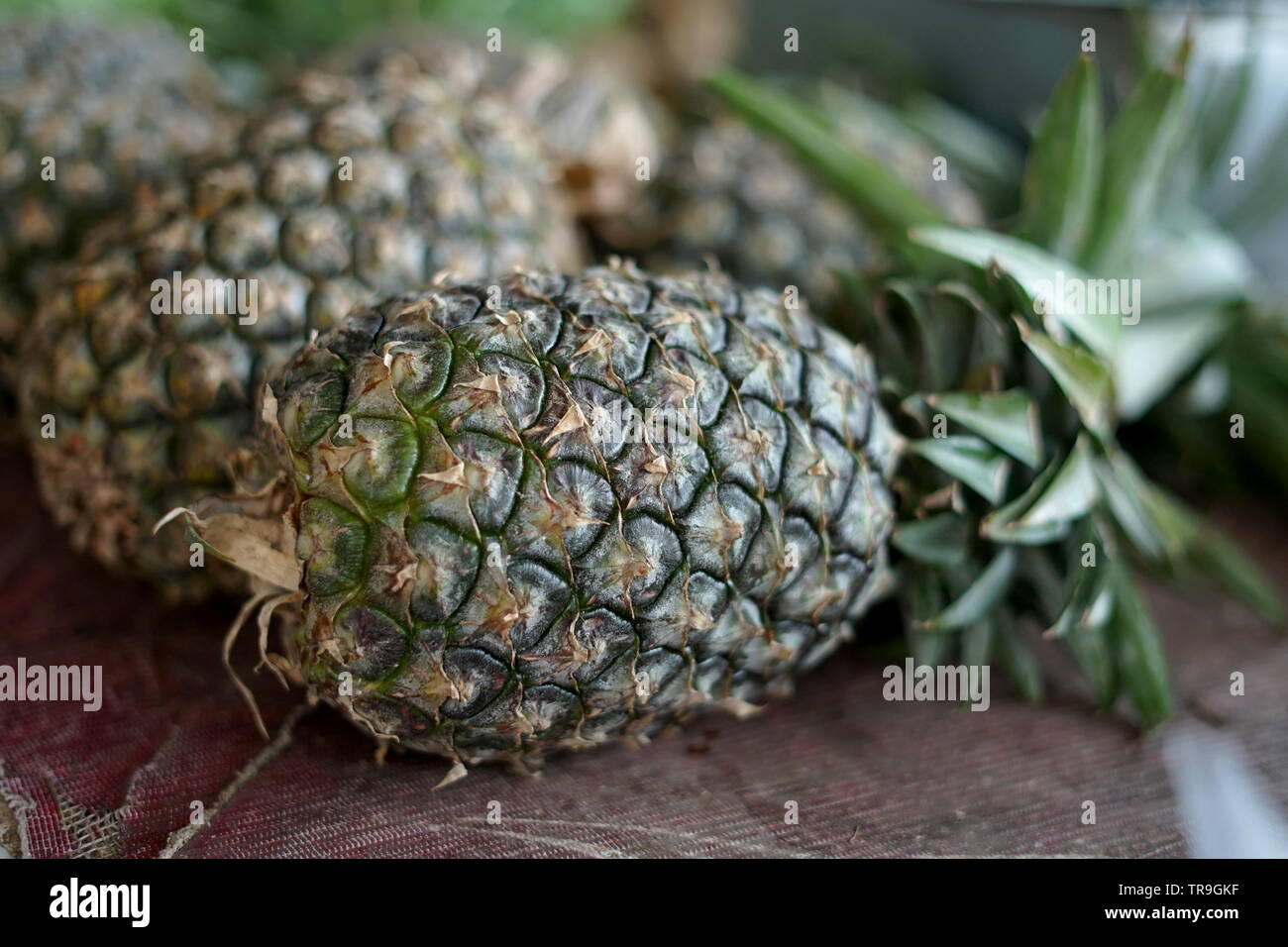 Fresh Pineapple or nanas Sale at Vegetable Market Stock Photo Alamy
