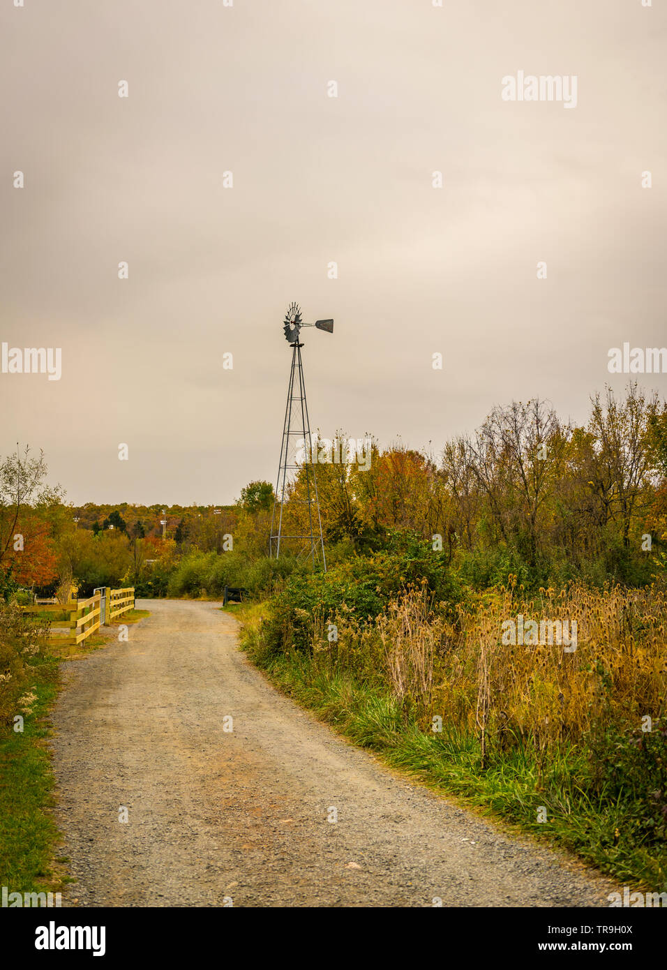 Windmill tower and gravel road with fall colors at Claude Moore Park in Sterling, Virginia, USA. Stock Photo