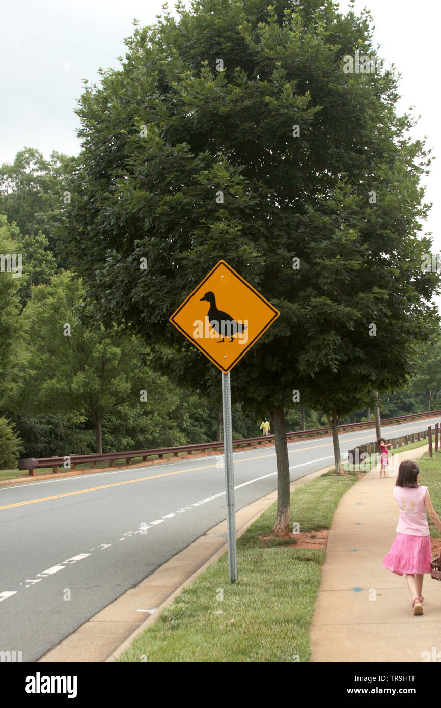 Ducks crossing road sign U.S.A. Stock Photo