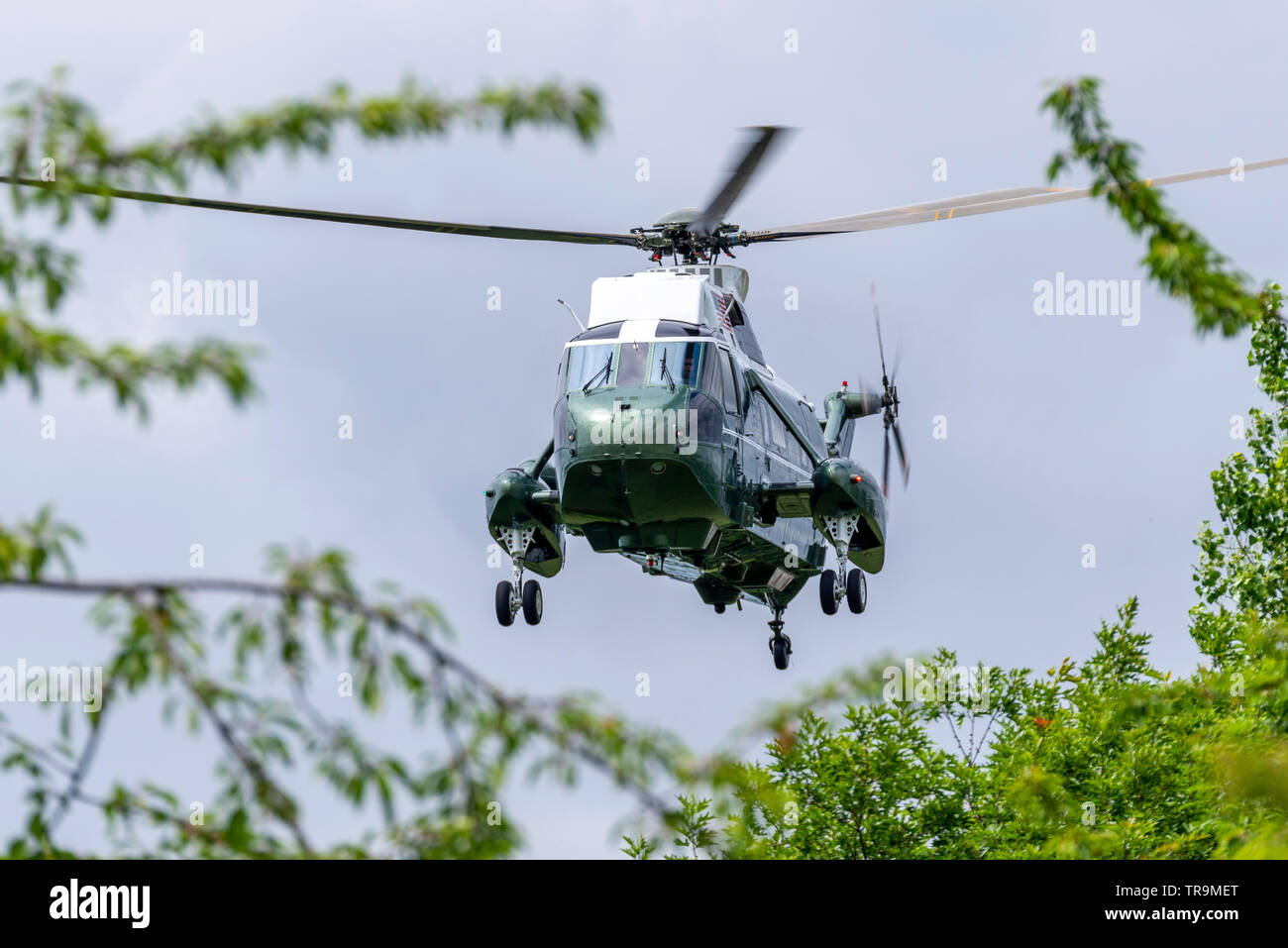 Sikorsky VH-3D Sea King VIP transport helicopter flying as part of the support for US President Donald Trump State Visit to the UK. Marine One Stock Photo