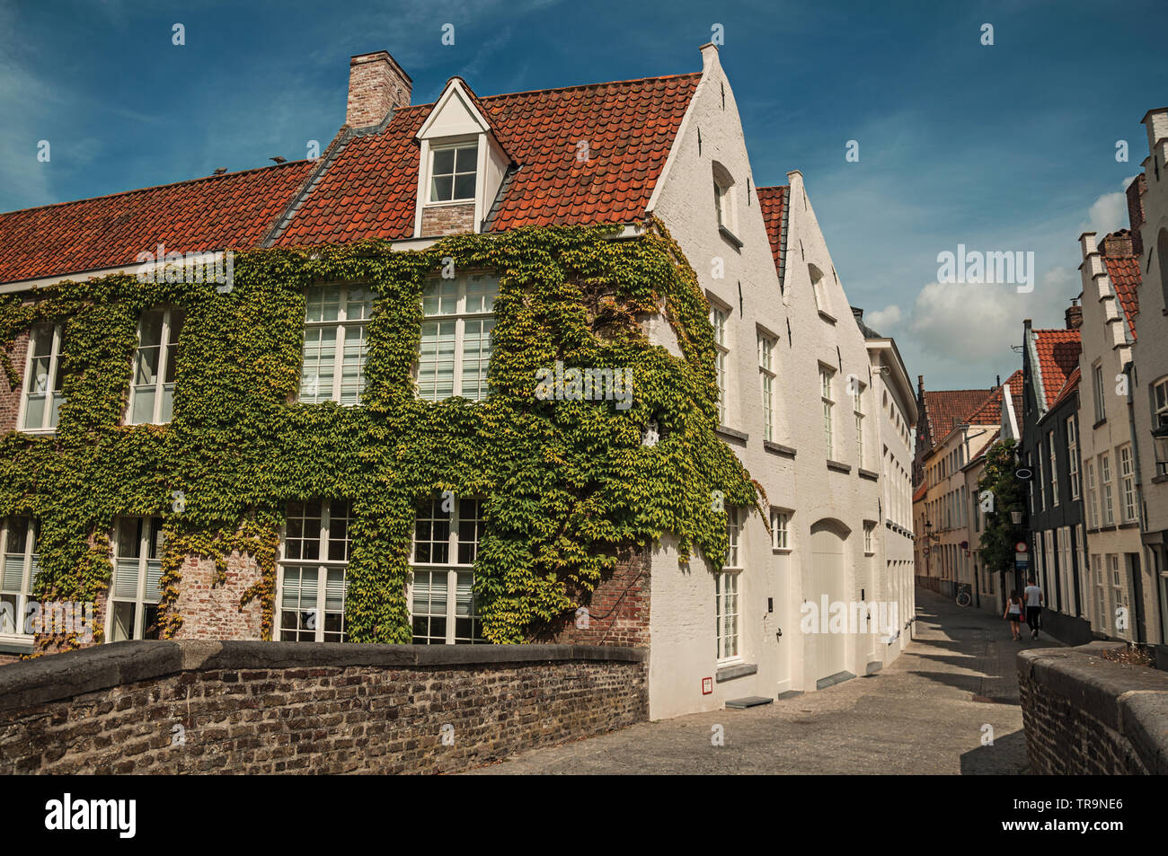Bridge and brick buildings with creeper on the canal edge in a sunny day at Bruges. Charming town with canals and old buildings in Belgium. Stock Photo