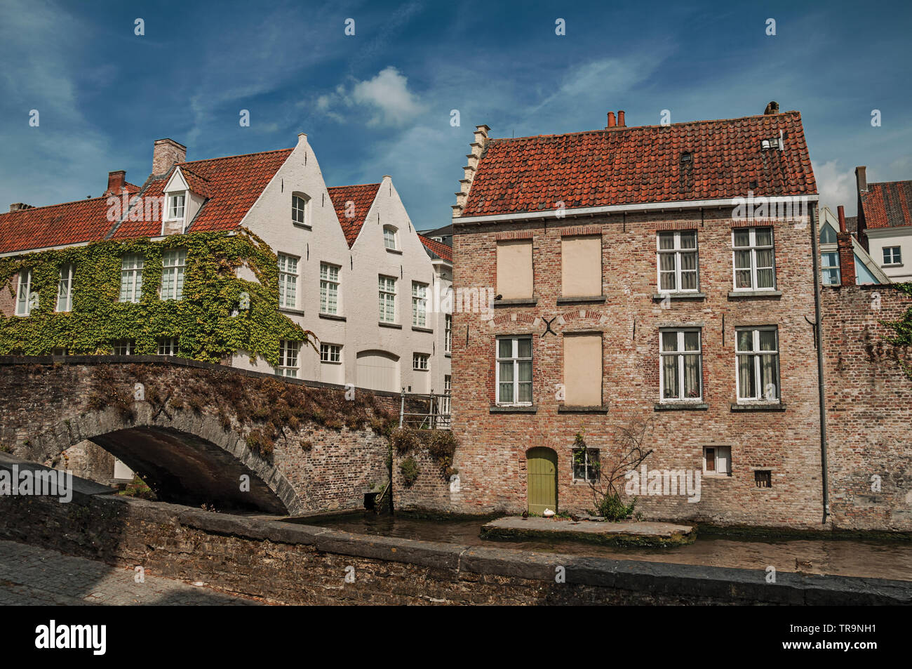 Bridge and brick buildings with creeper on the canal edge in a sunny day at Bruges. Charming town with canals and old buildings in Belgium. Stock Photo