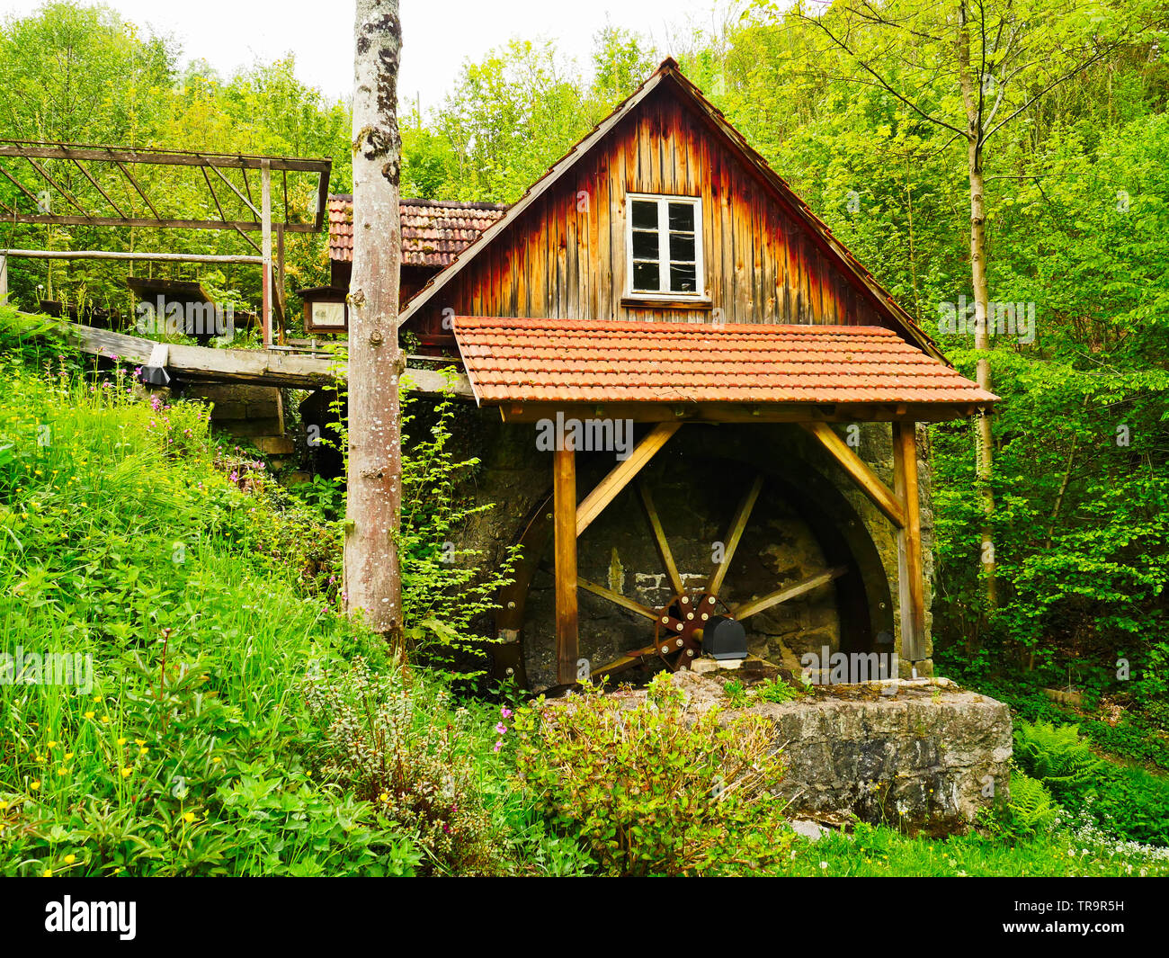 old mill in the black forest germany Stock Photo