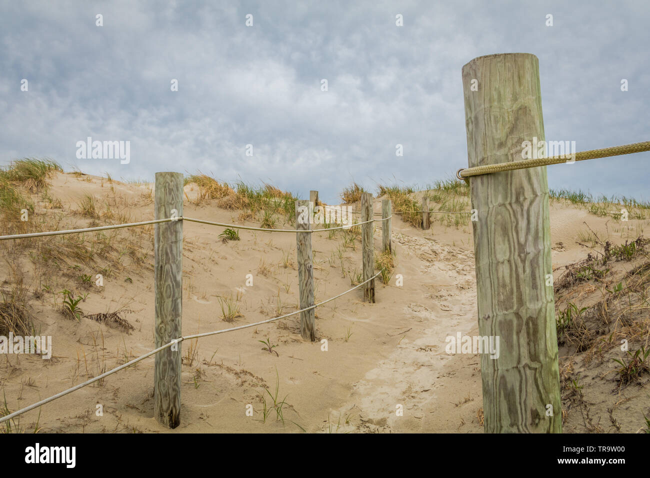 Sand Dunes In Spring At Diamond Beach Wildwood Crest Nj Stock Photo Alamy