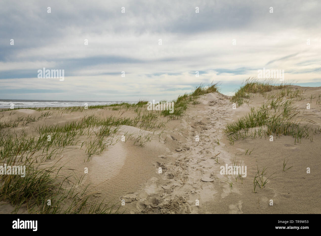 Sand dunes in Spring at Diamond Beach, Wildwood Crest, NJ Stock Photo