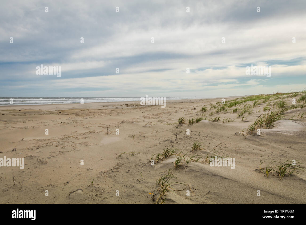 Sand dunes in Spring at Diamond Beach, Wildwood Crest, NJ Stock Photo