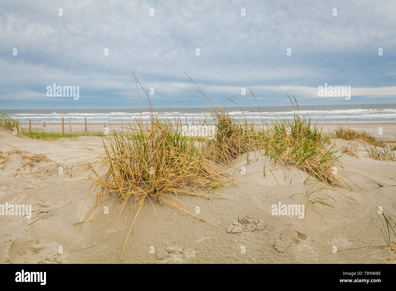 Sand dunes in Spring at Diamond Beach, Wildwood Crest, NJ Stock Photo