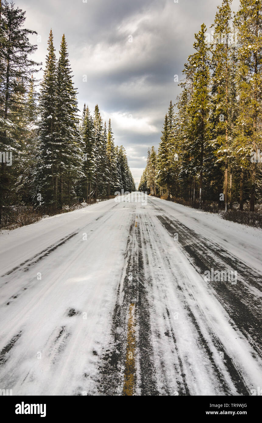 winter road Canada ,Bow Valley Pkwy, Lake Louise Stock Photo