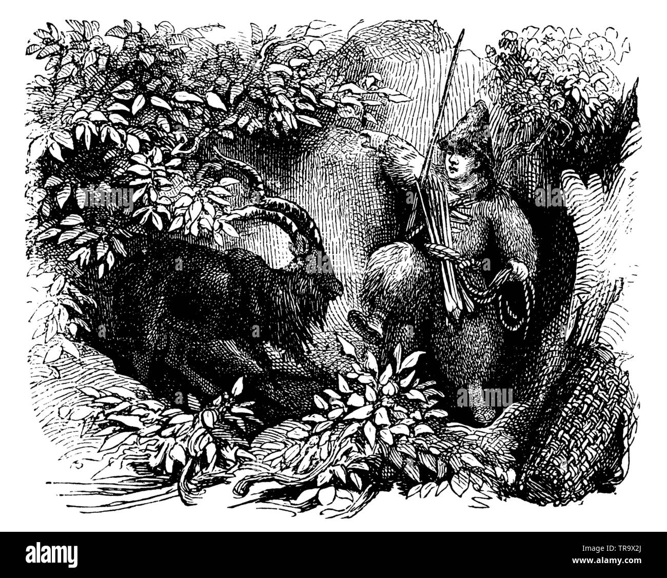 Robinson Crusoe and the billy goat, ,  (novel, 1897) Stock Photo