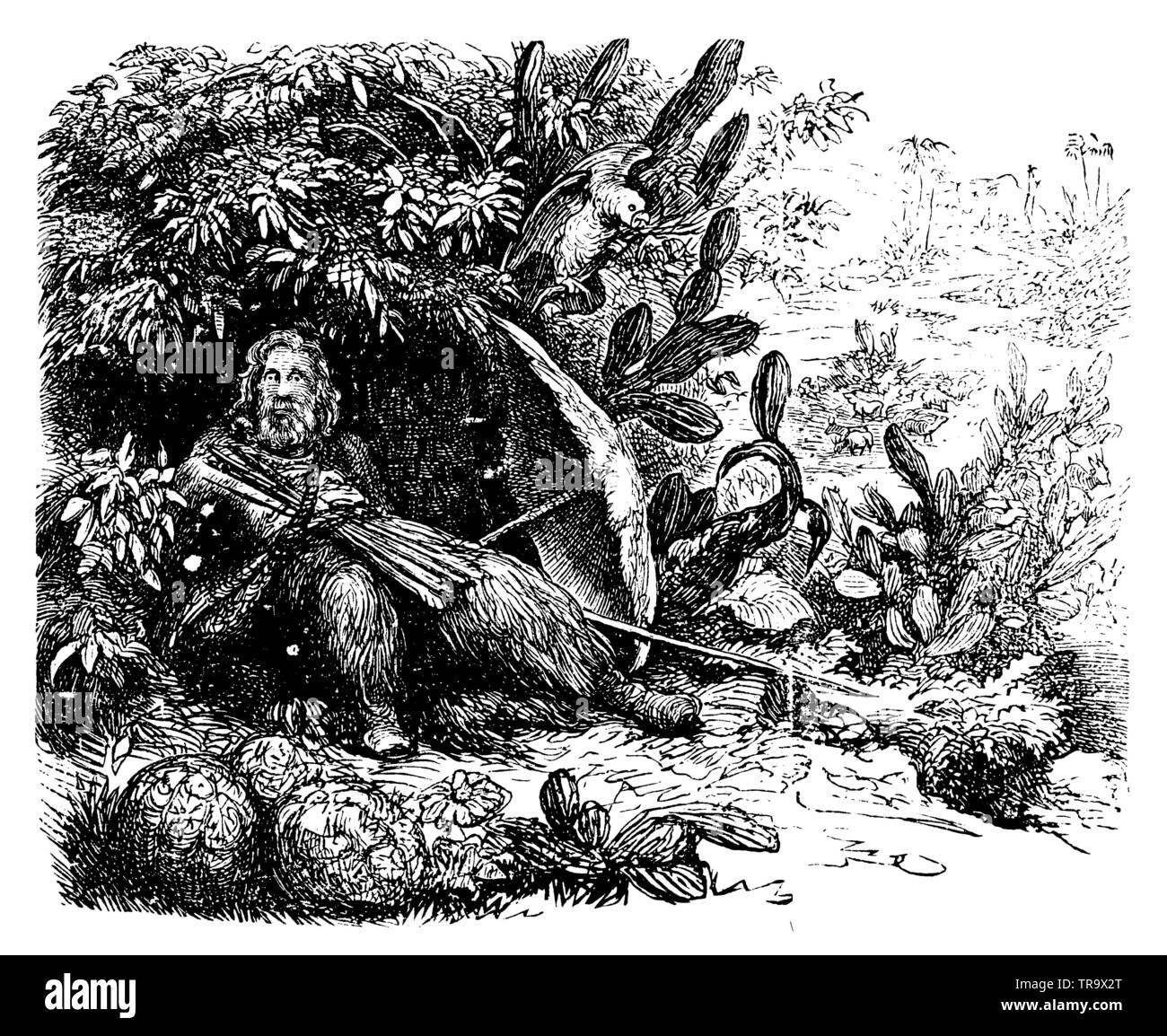Robinson Crusoe back on his island, , (novel, 1897 Stock Photo - Alamy