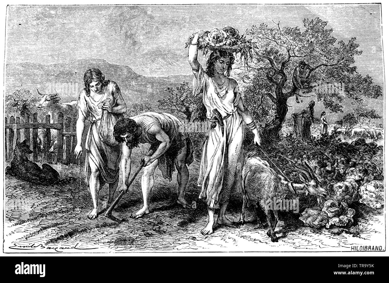 Beginning of horticulture (Bronze Age), ,  (anthropology book, 1874) Stock Photo