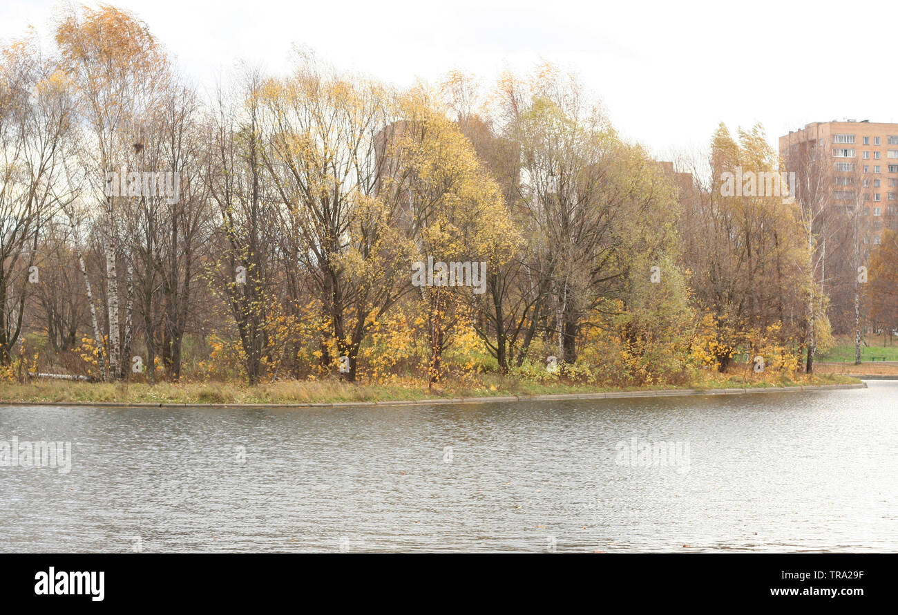autumn in city park at day Stock Photo - Alamy