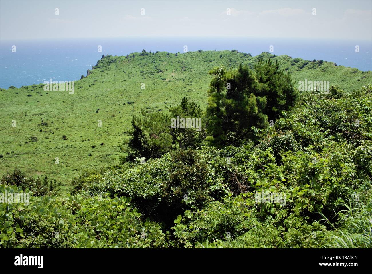 Seongsan Ilchulbong tuff cone in Jeju, Korea Stock Photo