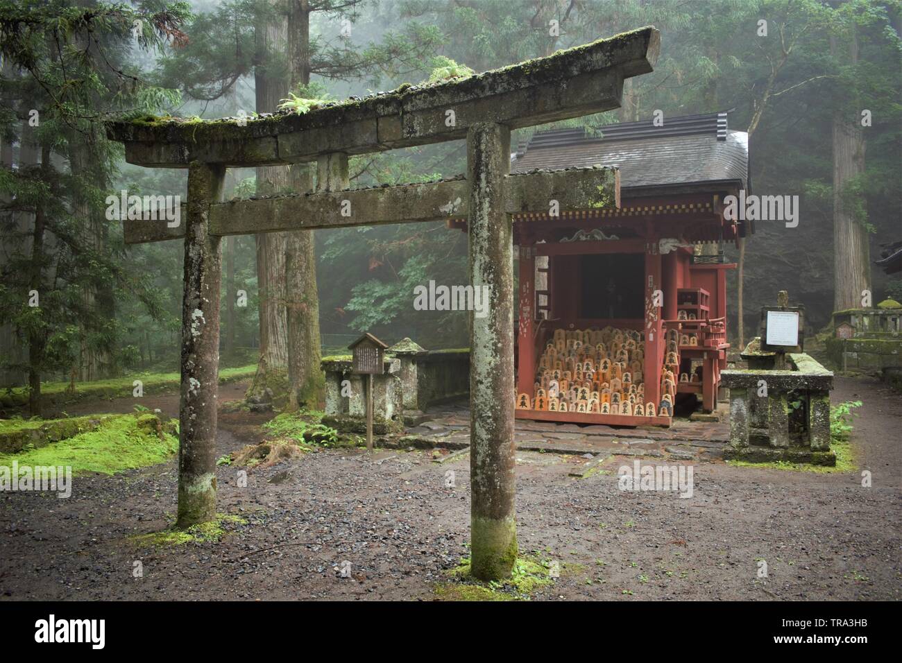 Torii in front of Kannon-do with small wooden Shogi blocks (inscription kyosha 香車), Nikko, Japan Stock Photo