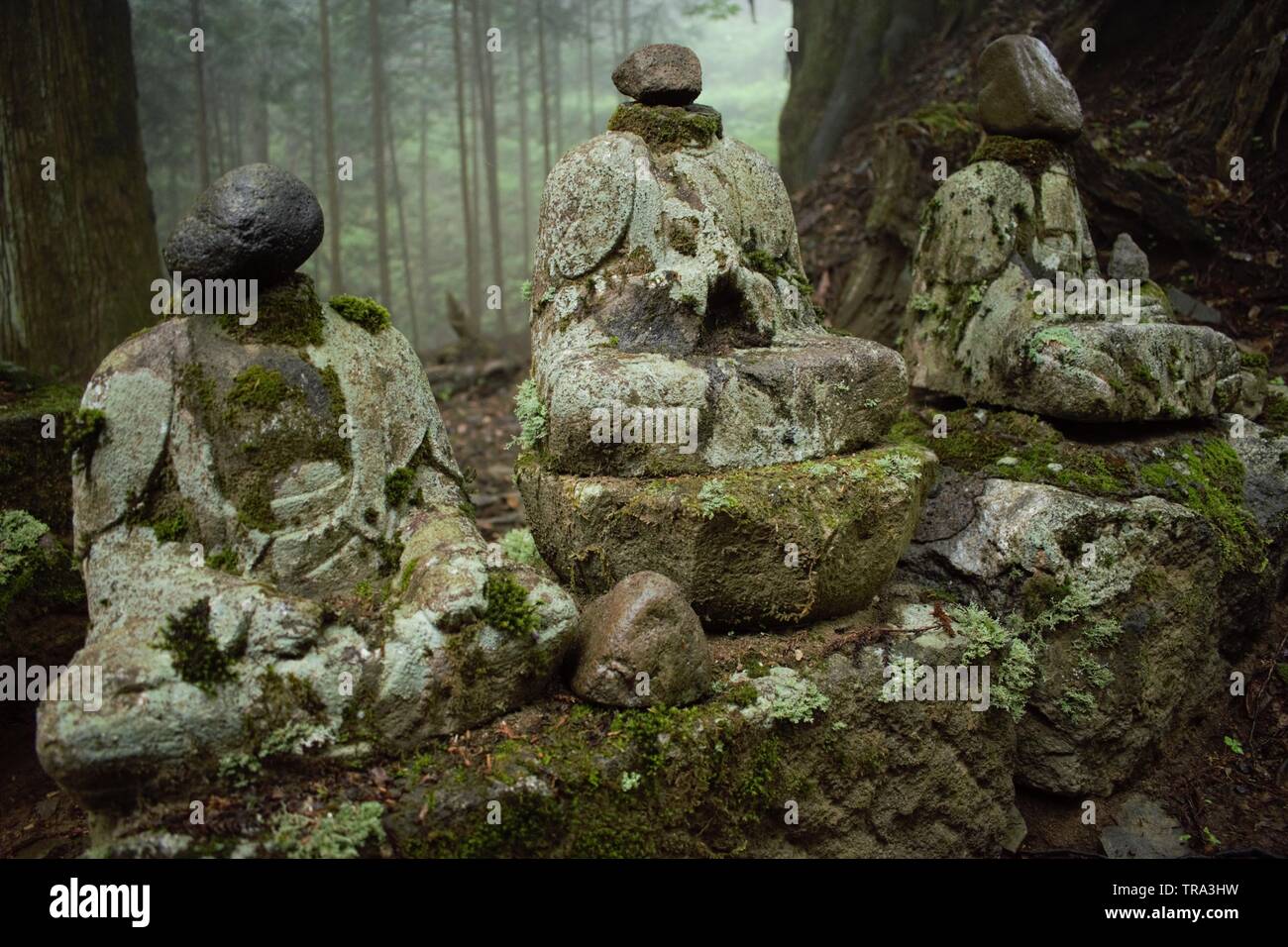 Ancient Buddha statues in the forest, Nikko, Japan Stock Photo Alamy