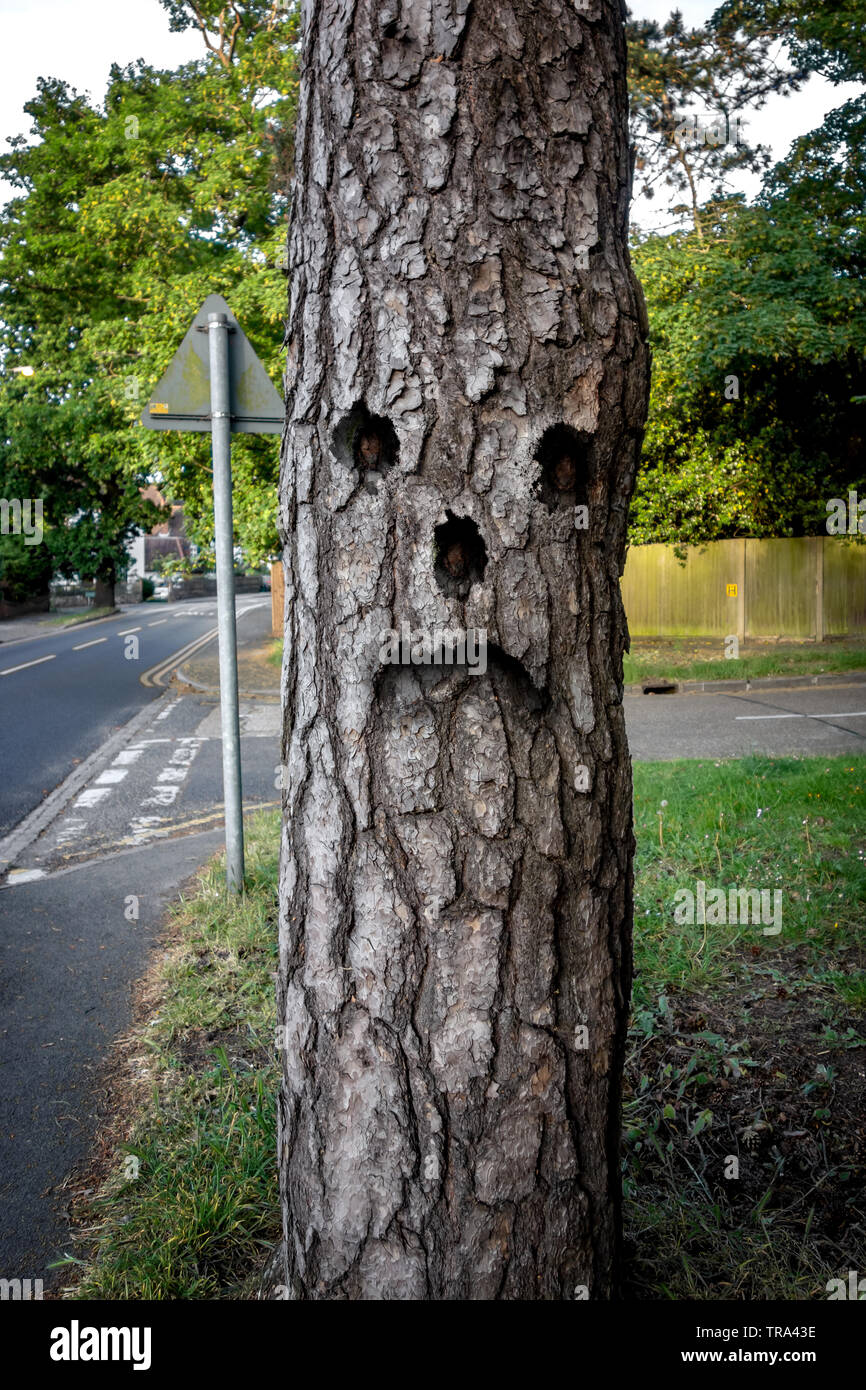 hires stock photography and images Alamy