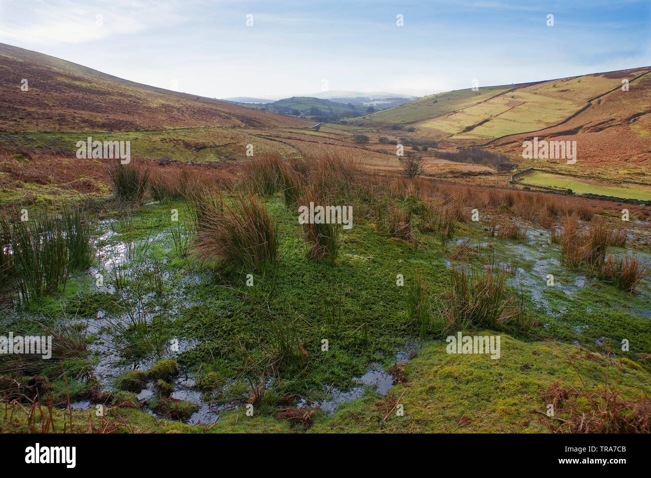 The West Webburn River Valley from Hookney Down, Dartmoor, Devon: the marshy Grim's Lake in the foreground Stock Photo