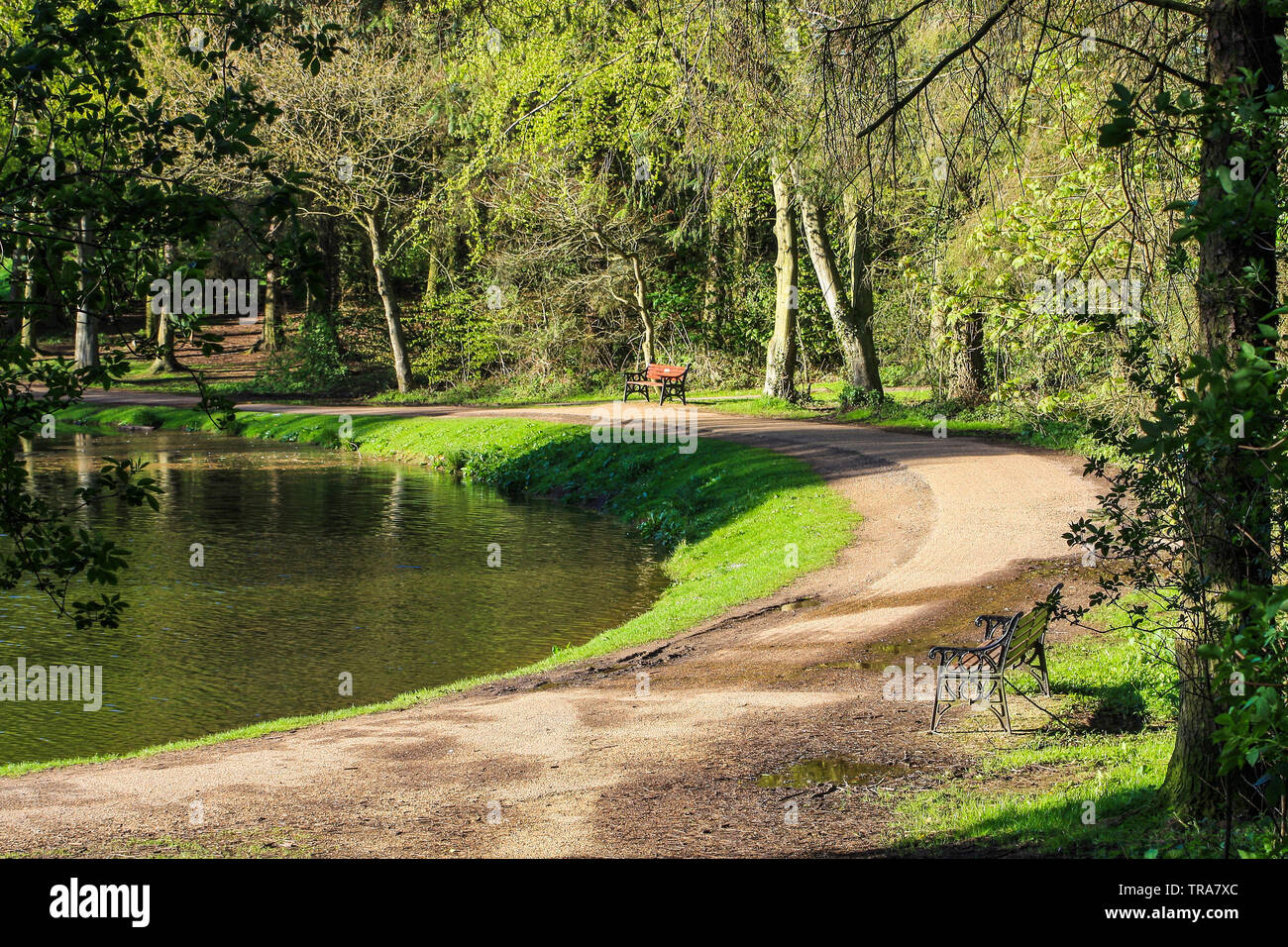 The scenic views of the lake and pathways at Hardwick Park,Sedgefield