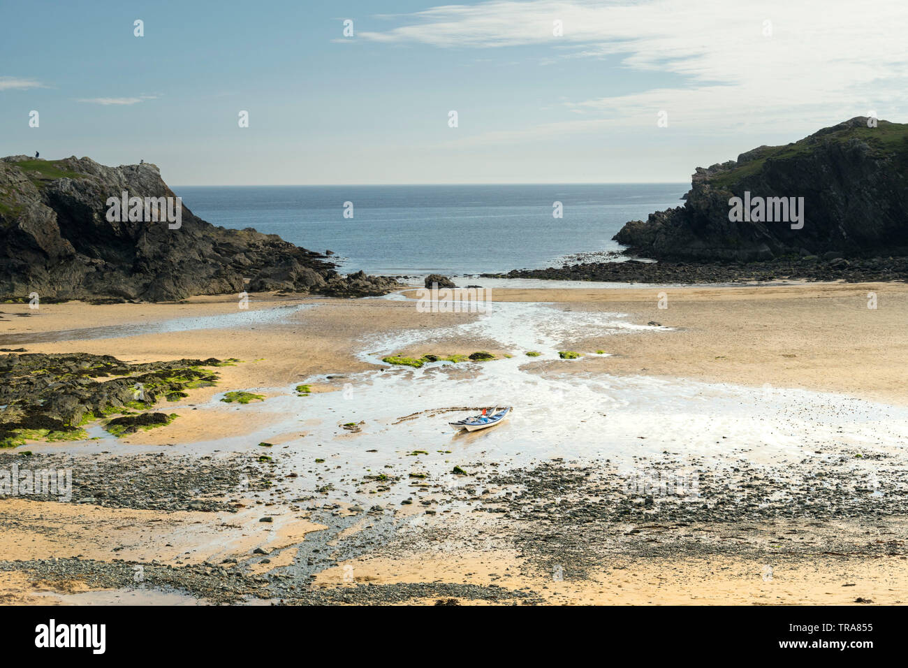 Porth Dafarch Beach Anglesey, Wales, UK Stock Photo Alamy