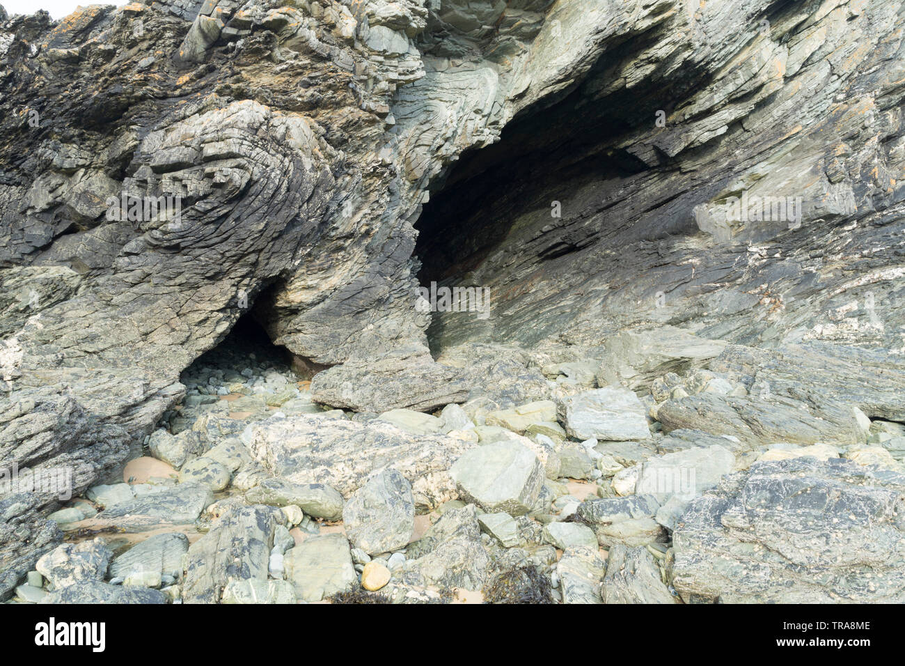 Folded Rock Structure, Porth Dafarch, Anglesey, UK Stock Photo