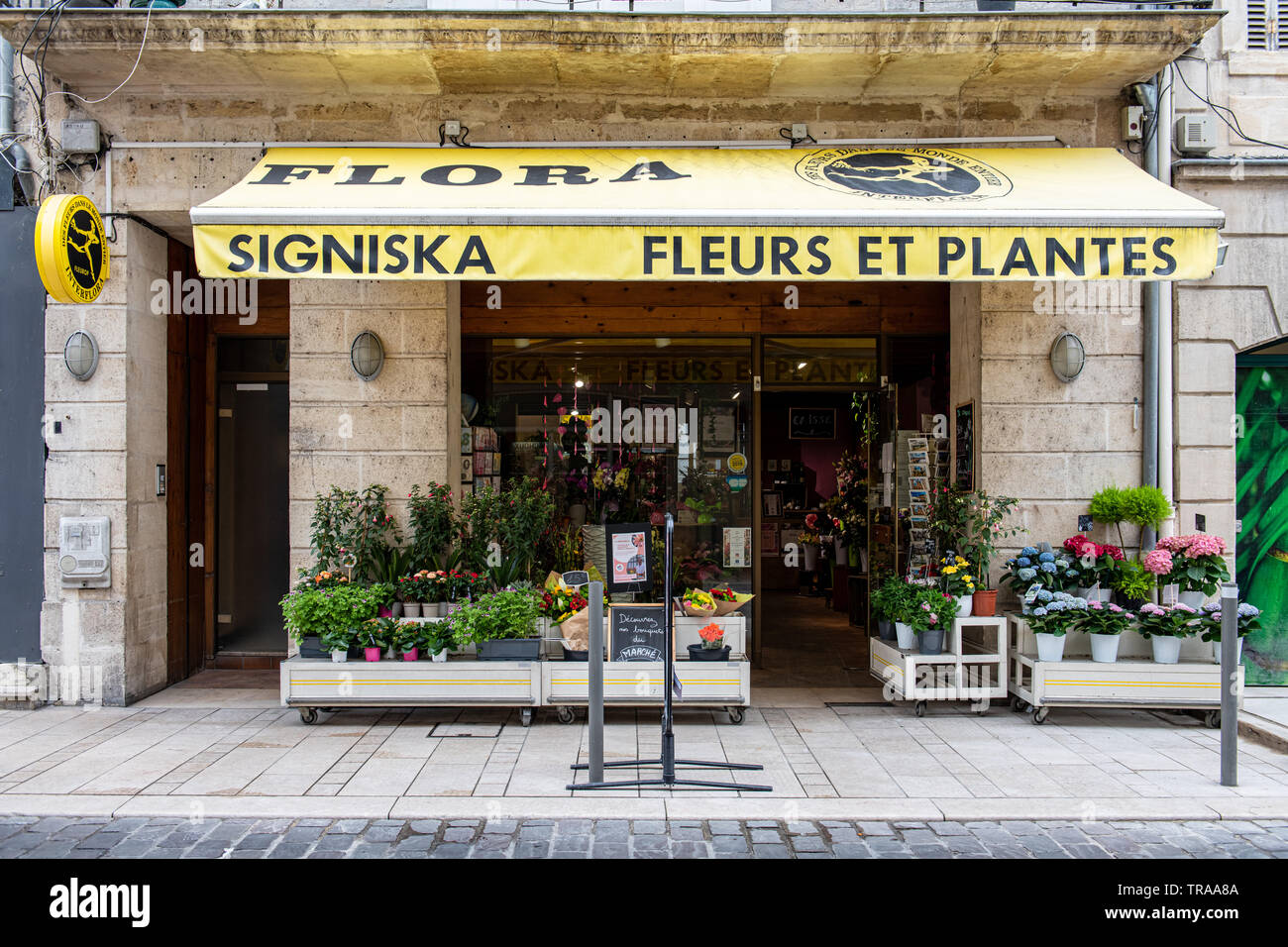 Flower Shop in Libourne, France Stock Photo