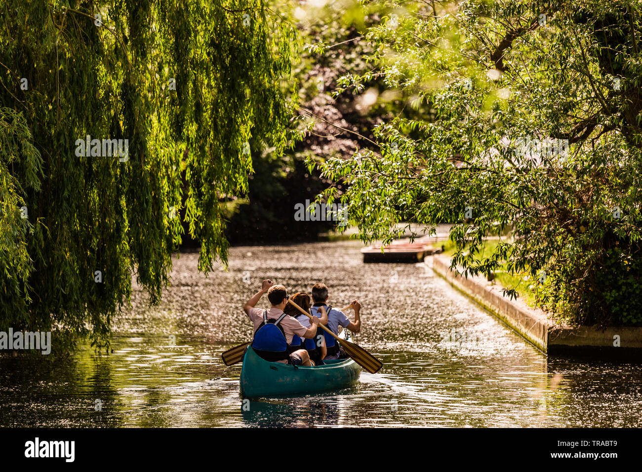 Four people take to the River Cam, Cambridge in a hired canoe. Canoes can be hired from Granta Place Boatyard. Stock Photo