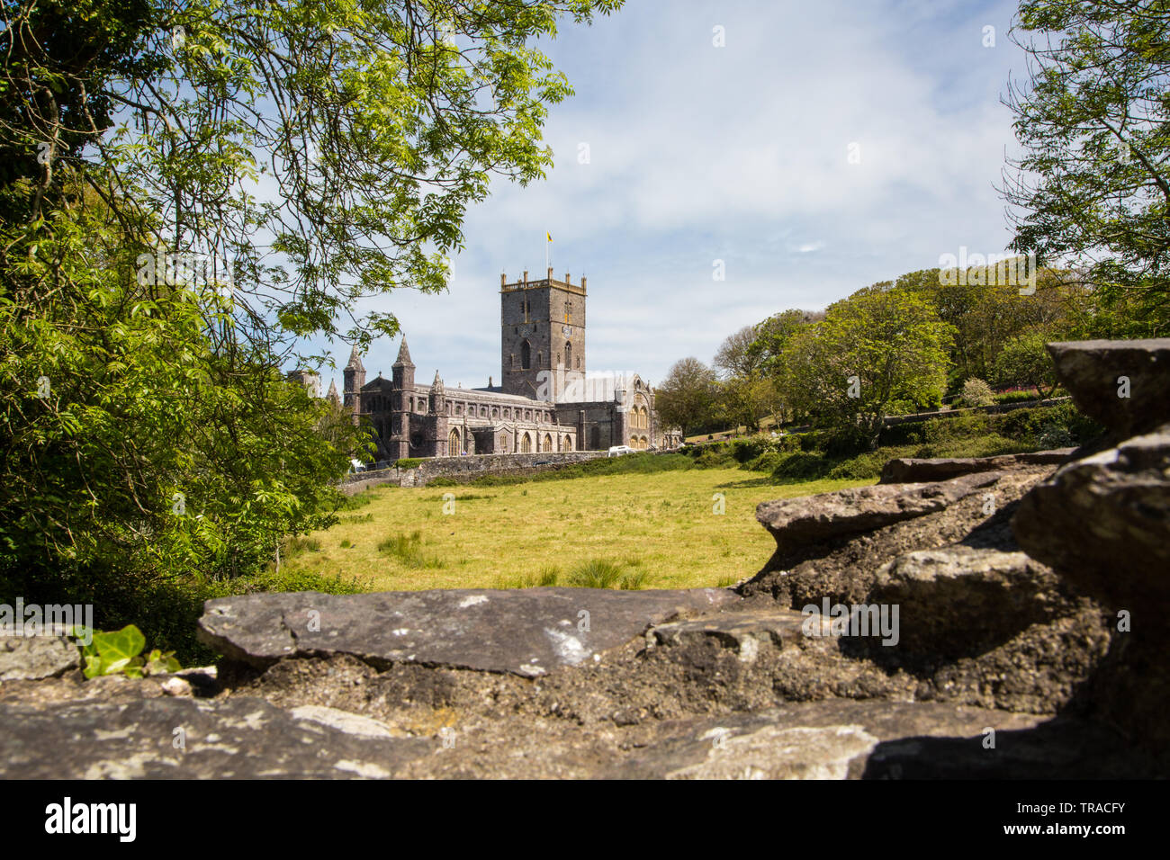 St Davids Cathedral in Pembrokeshire,built by St David the patron saint of Wales the cathedral has been a place of worship for over 800 years. Stock Photo