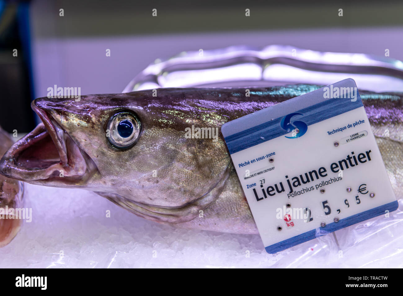 Fresh Pollack (Leiu Jaune) at Farmer's Market in Libourne, France Stock Photo