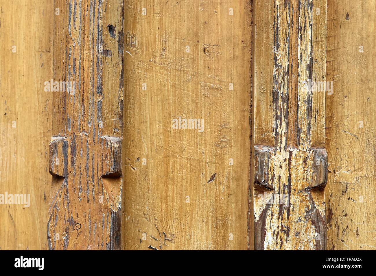 Plank Log Close up view on detailed wooden plank and log surfaces in high ...