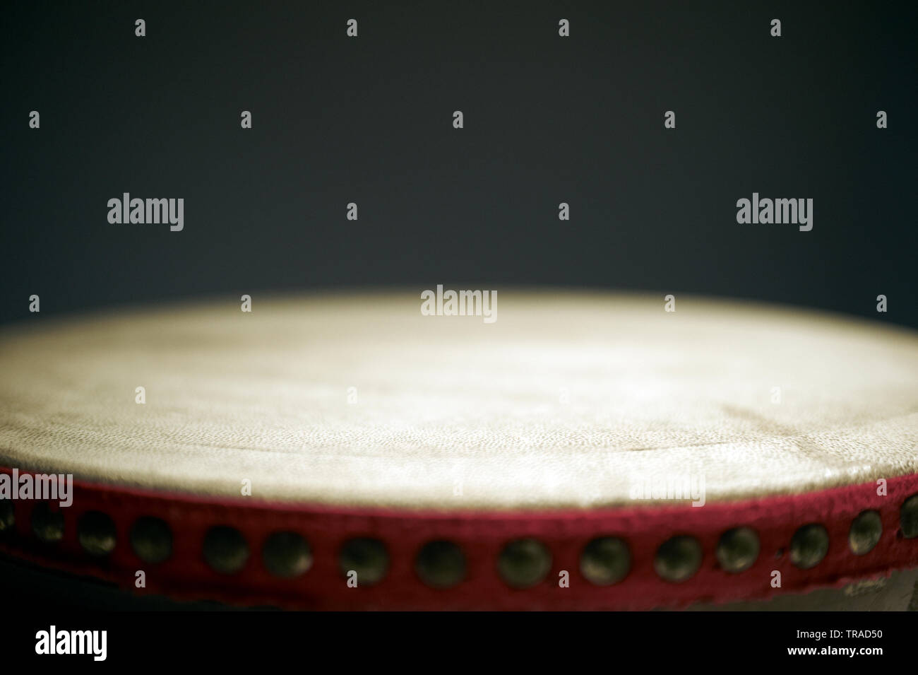 Beautiful close up shot in a studio of the Malaysian kompang a music