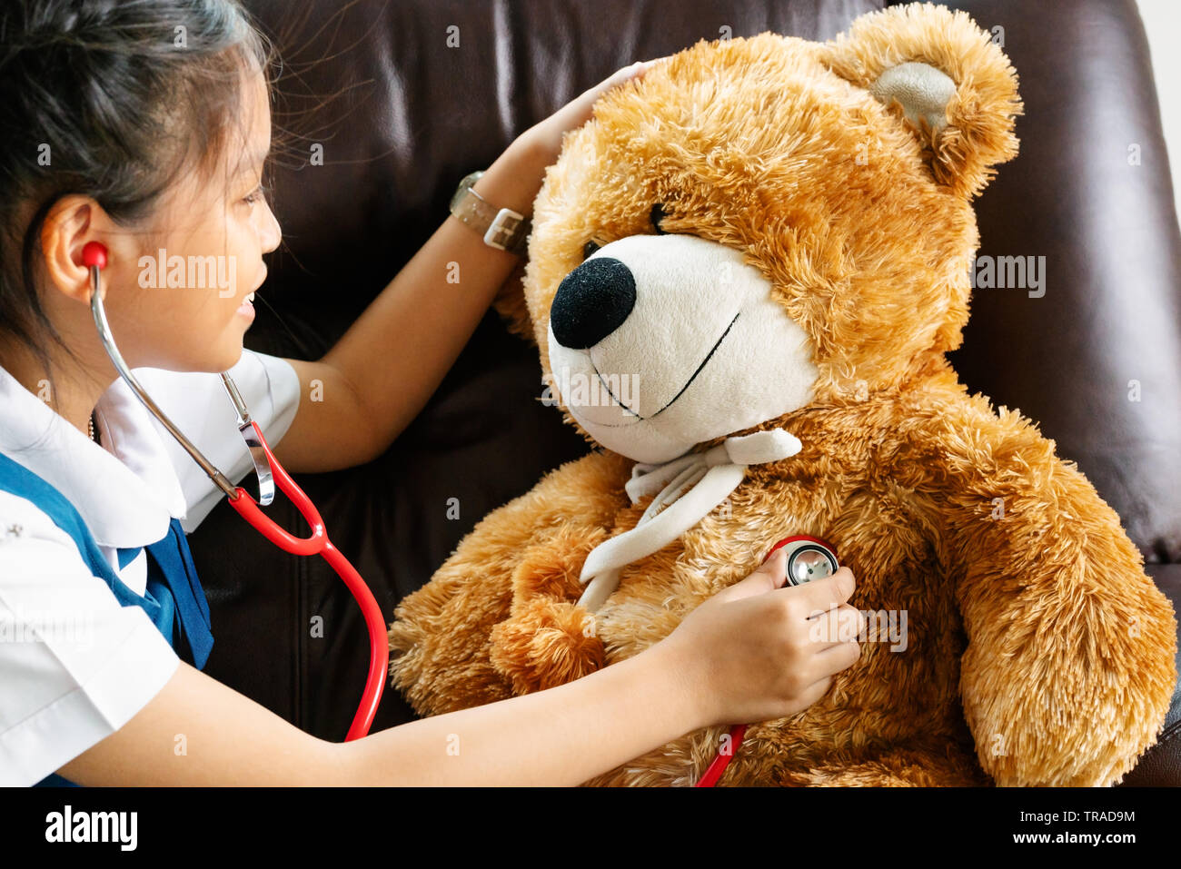 dr brown bear toy